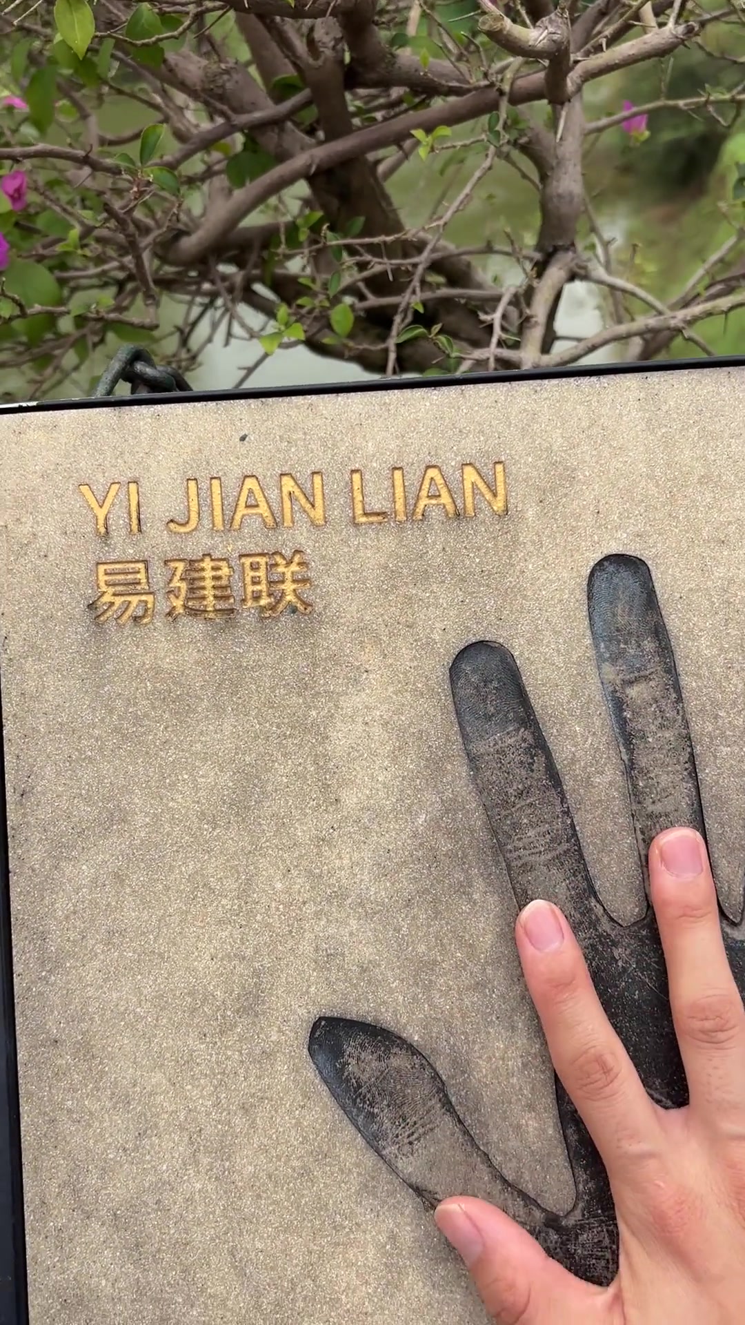 網(wǎng)友曬易建聯(lián)巨大掌?。喊⒙?lián)的手也太大了吧