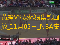 11月05日NBA常規(guī)賽黃蜂-森林狼精彩鏡頭