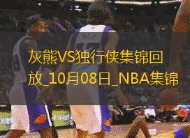 10月08日NBA季前賽灰熊-獨(dú)行俠精彩鏡頭