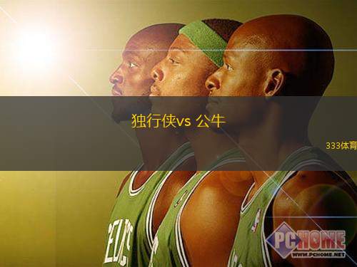 獨(dú)行俠vs 公牛(NBA)