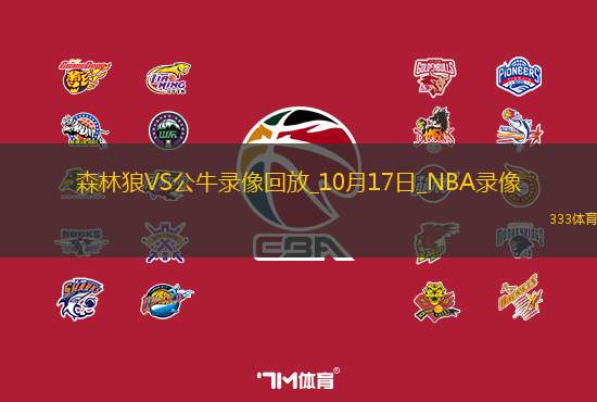 2024年10月17日NBA季前賽森林狼vs公牛