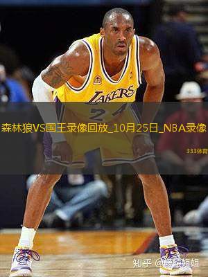 NBA常規(guī)賽森林狼117-115國王