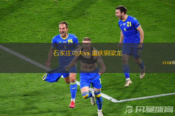 石家莊功夫vs 重慶銅梁龍(中甲)