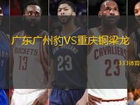 廣東廣州豹VS重慶銅梁龍