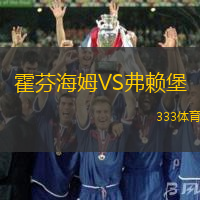 霍芬海姆VS弗賴堡