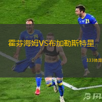 霍芬海姆VS布加勒斯特星