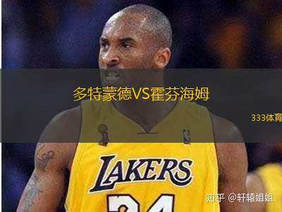 多特蒙德VS霍芬海姆