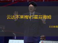 云達(dá)不萊梅VS霍芬海姆